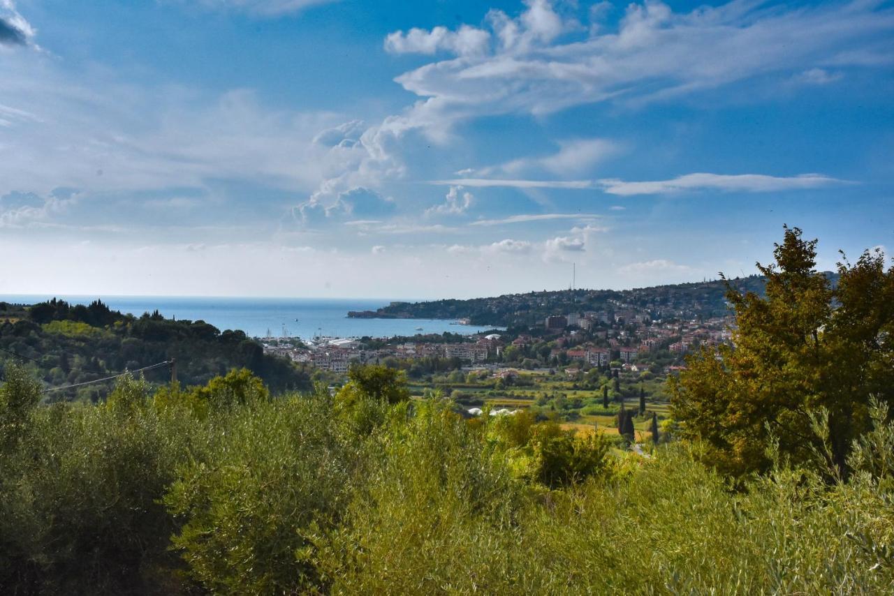 Apartma Med Oljkami - Portorož Zewnętrze zdjęcie